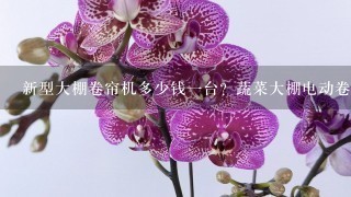 新型大棚卷帘机多少钱1台？蔬菜大棚电动卷帘机的价格是多少？