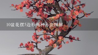 10盆花摆5边形两种方法图解