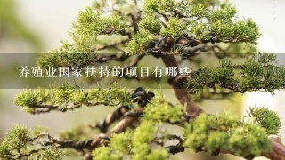 养殖业国家扶持的项目有哪些