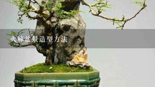 火棘盆景造型方法