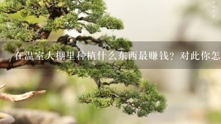 在温室大棚里种植什么东西最赚钱？对此你怎么看？