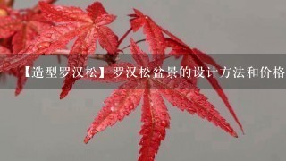 【造型罗汉松】罗汉松盆景的设计方法和价格参考