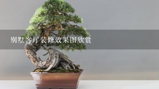 别墅客厅装修效果图欣赏