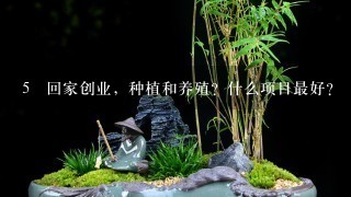 5 回家创业，种植和养殖？什么项目最好？