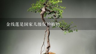 金线莲是国家几级保护植物