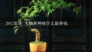 2012农业 大棚里种植什么最挣钱