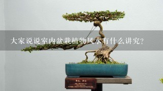 大家说说室内盆栽植物风水有什么讲究？