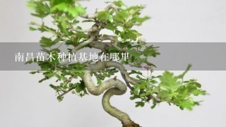 南昌苗木种植基地在哪里