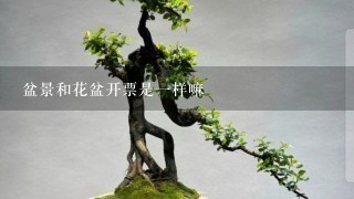 盆景和花盆开票是1样嘛