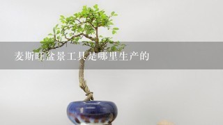 麦斯旺盆景工具是哪里生产的