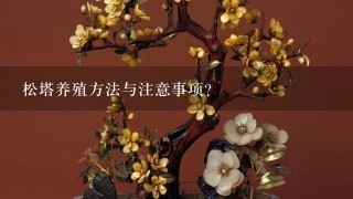 松塔养殖方法与注意事项？