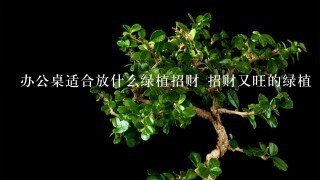 办公桌适合放什么绿植招财 招财又旺的绿植