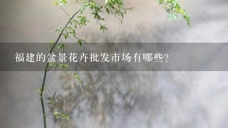 福建的盆景花卉批发市场有哪些？