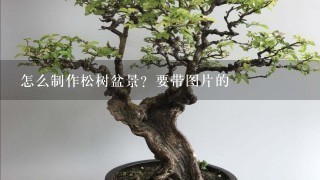 怎么制作松树盆景？要带图片的