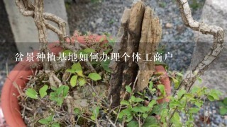 盆景种植基地如何办理个体工商户