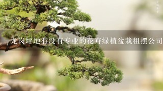 龙岗坪地有没有专业的花卉绿植盆栽租摆公司？希望推荐下