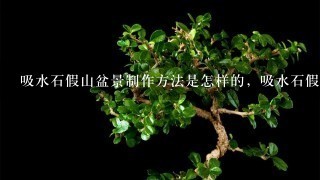 吸水石假山盆景制作方法是怎样的，吸水石假山盆景制作公司有吗