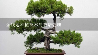 金线莲种植技术与栽培管理