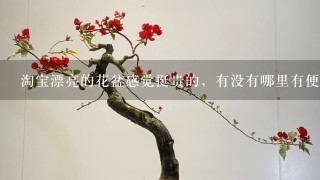 淘宝漂亮的花盆感觉挺贵的，有没有哪里有便宜点的