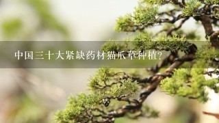 中国3十大紧缺药材猫爪草种植？