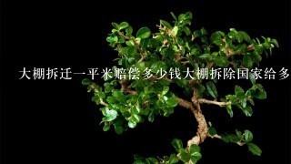 大棚拆迁1平米赔偿多少钱大棚拆除国家给多少钱1平米？