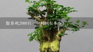 散养鸡2000只1年利润有多少？