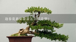 迎春花悬崖盆景怎么做造型？