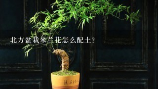 北方盆栽米兰花怎么配土？