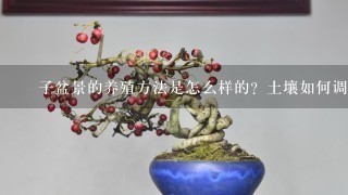 栒子盆景的养殖方法是怎么样的？土壤如何调配？