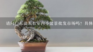 请问广东汕头有室内小盆景批发市场吗？具体位置在哪？知道的朋友告诉下~谢谢了。