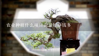 农业种植什么项目前景好挣钱多