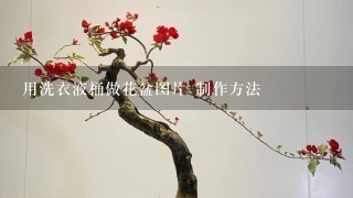 用洗衣液桶做花盆图片 制作方法