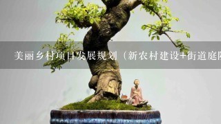 美丽乡村项目发展规划（新农村建设+街道庭院生态廊道设计+5谷杂粮创意化设计）