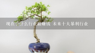 现在干什么行业最赚钱 未来十大暴利行业