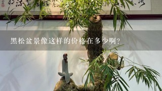 黑松盆景像这样的价格在多少啊？