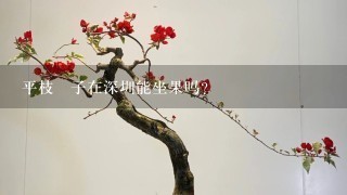 平枝栒子在深圳能坐果吗？