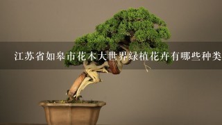 江苏省如皋市花木大世界绿植花卉有哪些种类?