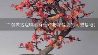 广东省这边哪里有生产花卉盆景的大型基地？（室内观叶植物、室内观花植物等小型盆景、盆栽）