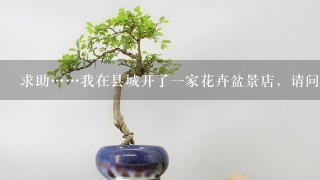 求助……我在县城开了1家花卉盆景店，请问?花卉租凭要如何定价?