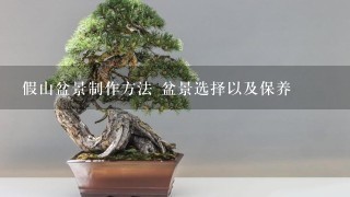 假山盆景制作方法 盆景选择以及保养