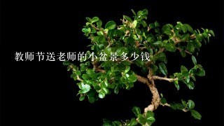 教师节送老师的小盆景多少钱