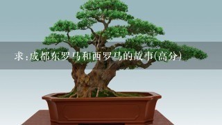 求:成都东罗马和西罗马的故事(高分)