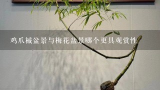 鸡爪槭盆景与梅花盆景哪个更具观赏性