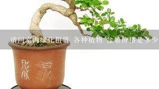 请问室内绿化租赁 各种植物 盆景价格是多少 最好能