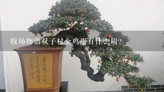 牧场物语双子村金鸡蛋有什么用？