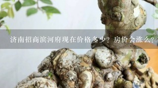 济南招商滨河府现在价格多少？房价会涨么？