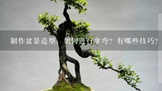 制作盆景造型，如何进行拿弯？有哪些技巧？