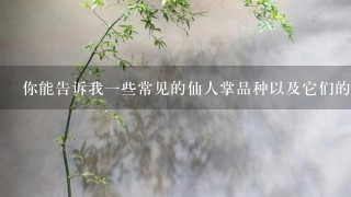 你能告诉我一些常见的仙人掌品种以及它们的价格范围吗？