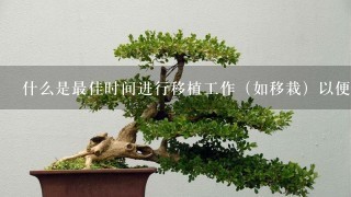 什么是最佳时间进行移植工作（如移栽）以便获得更好的效果？