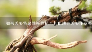 如果需要将盆景松移植至其他地方需要注意哪些事项？